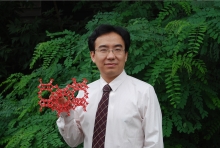 WANBO.COM万搏体育(中国大陆)科技公司创新论坛第一千二百七十三讲暨120周年校庆年系列活动： Unexpected slow diffusion in hierarchical porous materials with combined surface and configurational diffusion   