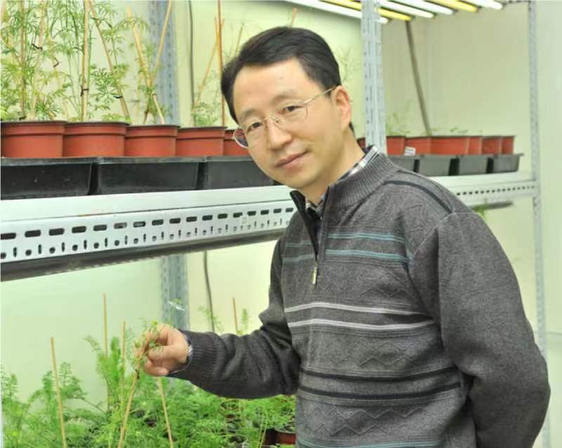 WANBO.COM万搏体育(中国大陆)科技公司创新论坛第一千二百六十八讲暨120周年校庆年系列活动：复杂花瓣的发育与进化